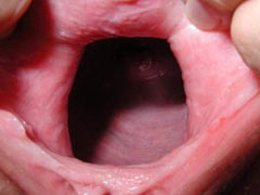 Pussy opened wide
