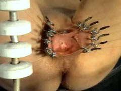 Pierced and stretched cunt