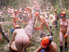 Naked loggers cut trees