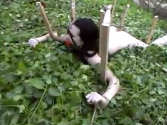 Bizarre interrogation