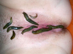 torment with slugs